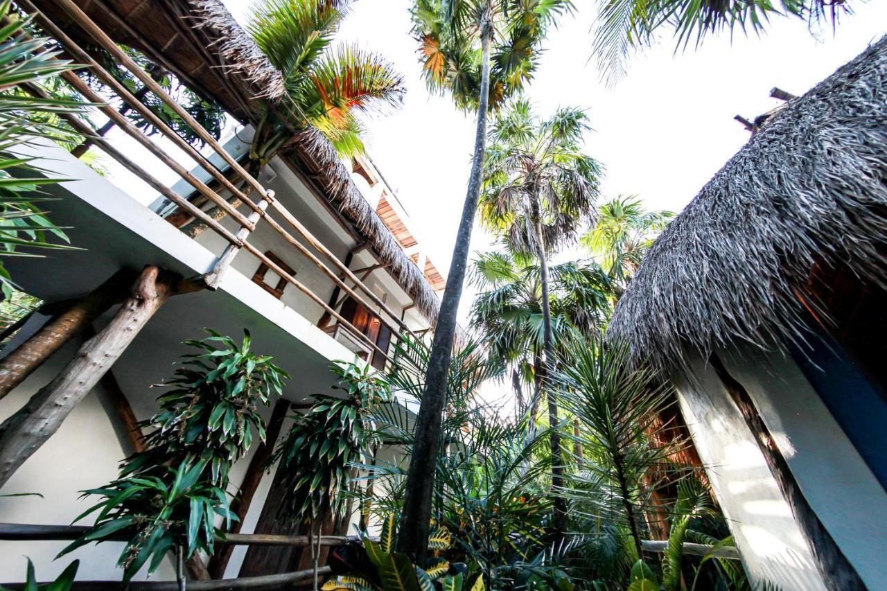 Superior Room King Size Bed With Terrace, Jungle View and Rooftop