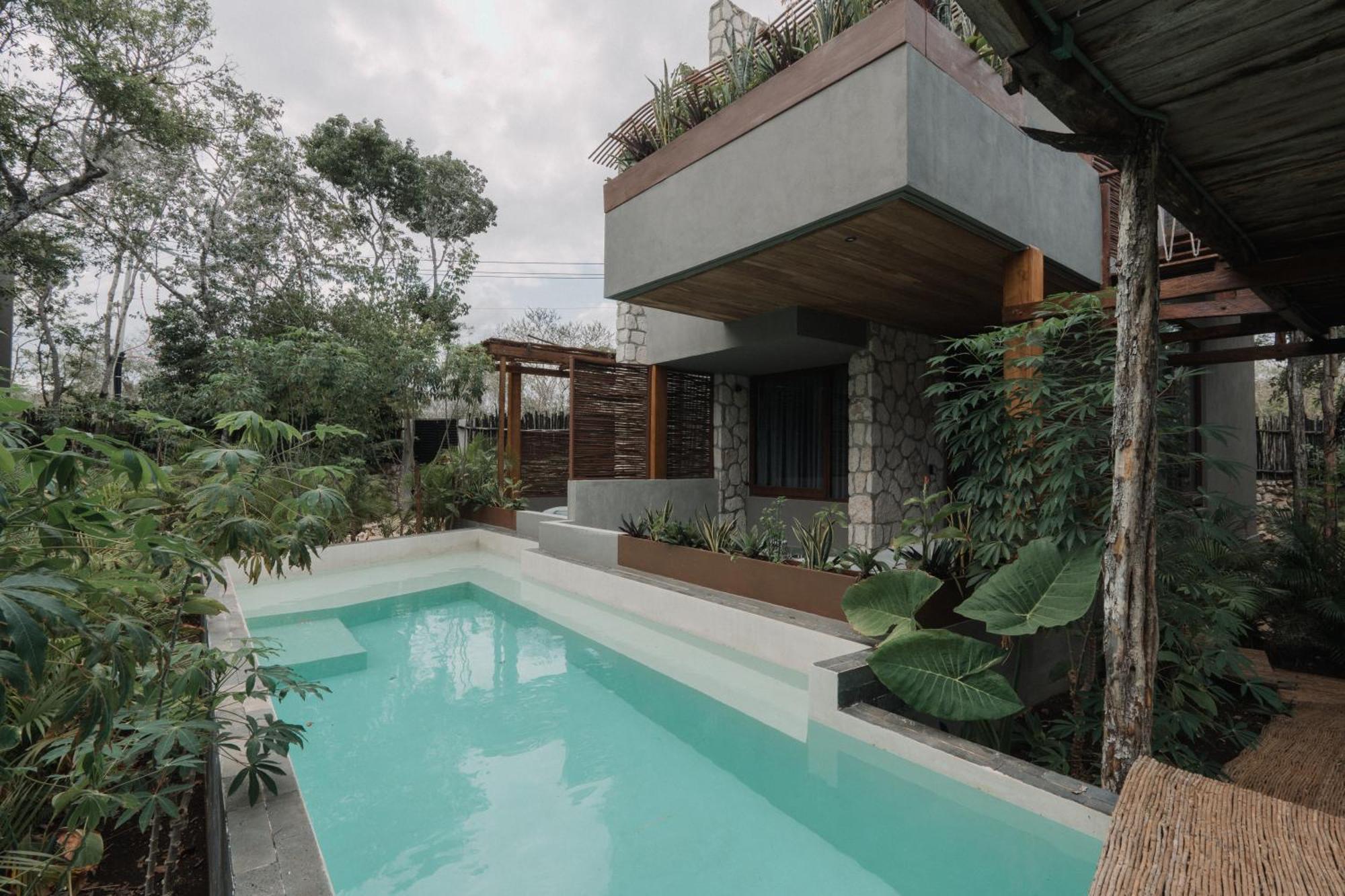 Jungle Swim Up Full Wellness Experience & Food Included – Alcohol not included