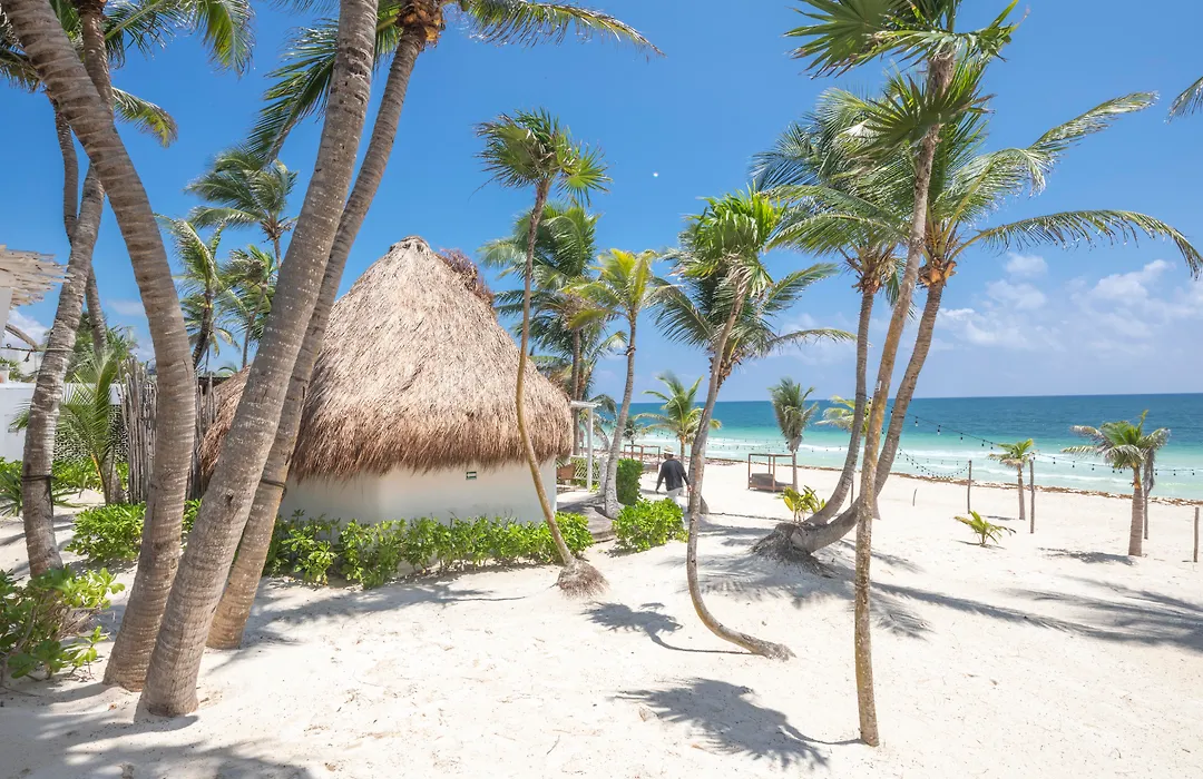 Los Amigos Beach Hotel Boutique-1
