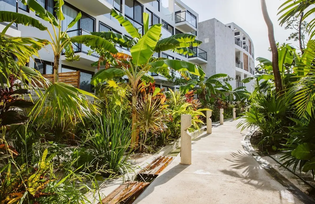 The Waves Tulum By Bnb Experience-1