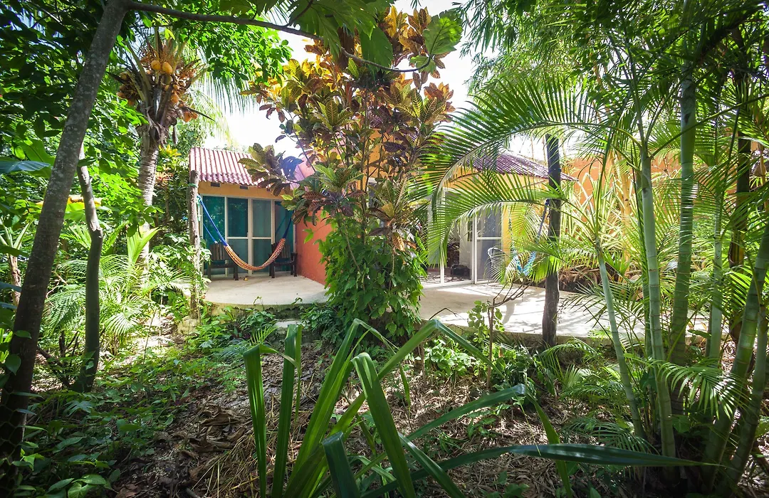 Casa Don Diego-1