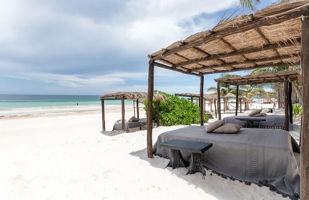 Nest Tulum-1