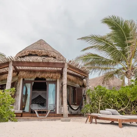 Delek Tulum-3