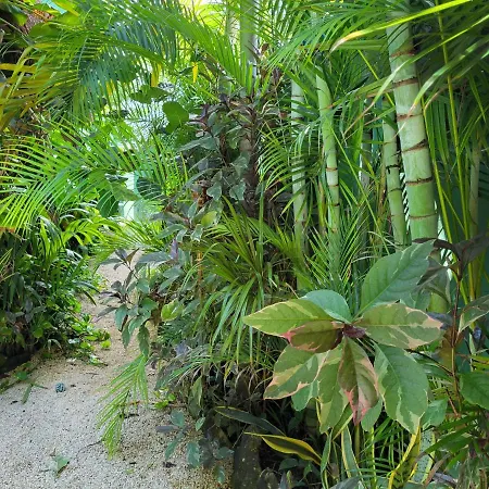The Secret Garden Tulum-3
