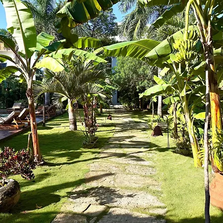 Xscapetulum-2