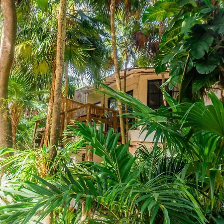 Casa Ambar Hotel & Boutique - Party Side Tulum (Adults Only)-2