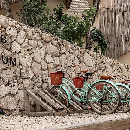 Taio Tulum-2