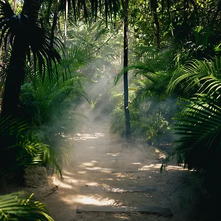 Nomade Temple Tulum-3
