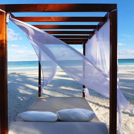 Los Amigos Beach Hotel Boutique-3